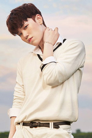 Choi Hong-joon